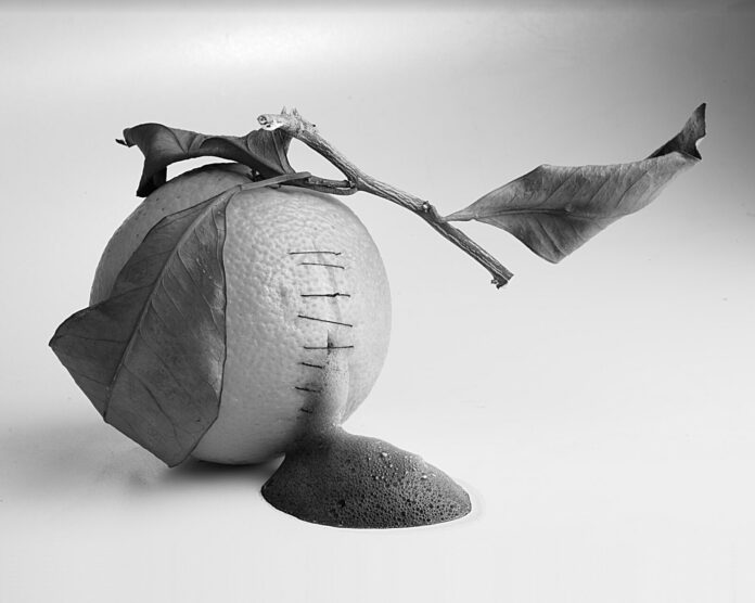 Emiliano Zanichelli, Sofisticani alimentari - arancia, 2019, stampa fine art, 21cm x 30cm