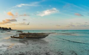 Tanzania safari e relax lungo la costa
