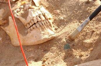Due batteri sfiancarono lesercito di Napoleone nella campagna di Russia