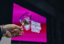 Salone del Vino 2026: al via domani la quarta edizione alle OGR Torino