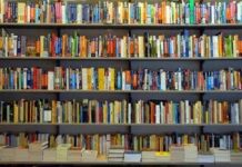Da 'Tutte le mattine di Sybil' a 'Ci basterà mangiare il vento': tutte le novità in libreria Colorful books lined on several shelves of a library, with stacks of books on the bottom shelf