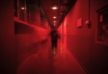 UNFOLD a IED Milano: sessanta collezioni di moda, performance e club culture per la mostra di fine anno